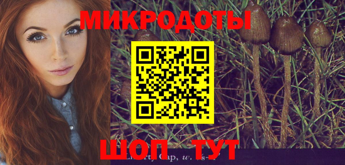 Зеленодольск  Галлюциногенные грибы мицелий  Вход с VPN 